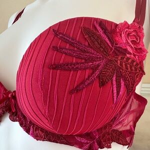 Lise Charmel Embroidered Underwire Bra & Garter Set, Raspberry Red, 36B